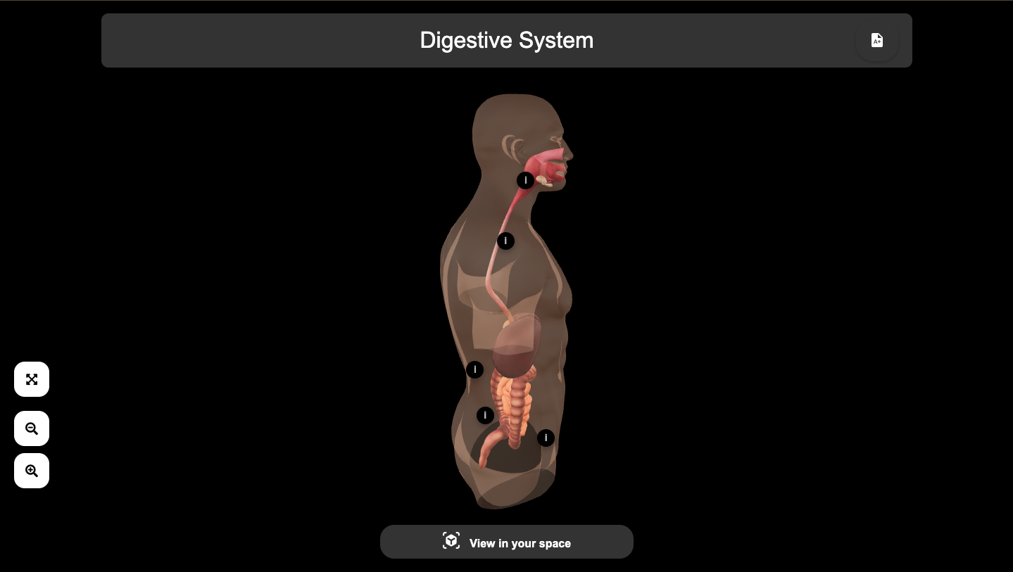 3D Interactive Learning